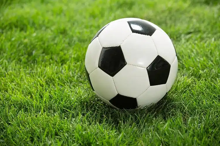 数据分析师使用红单来了研究赛事规律