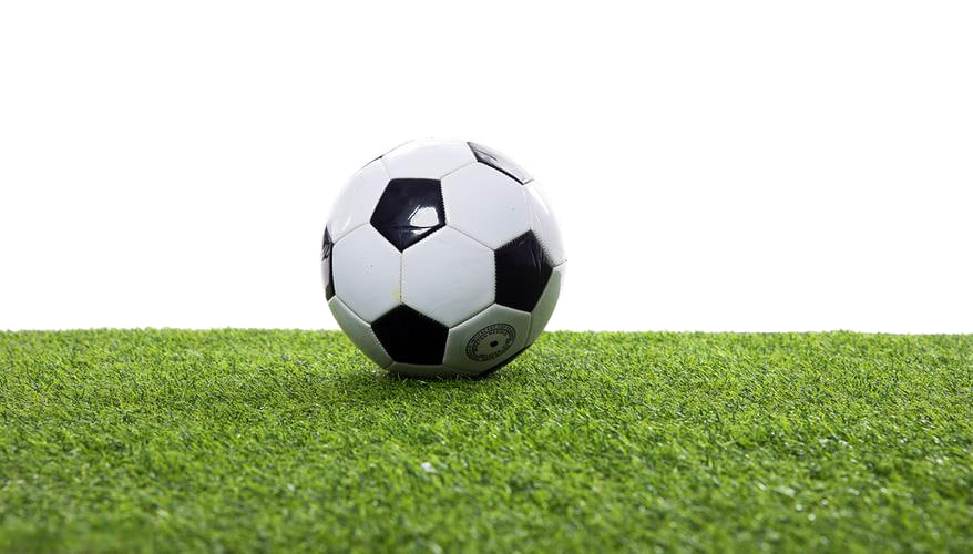 理性观赛者免费使用红单来了